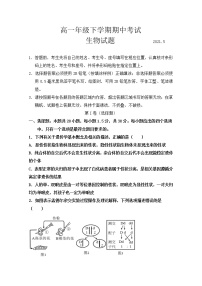 山东省泰安市2020-2021学年高一下学期期中考试生物试题（word版 含答案）