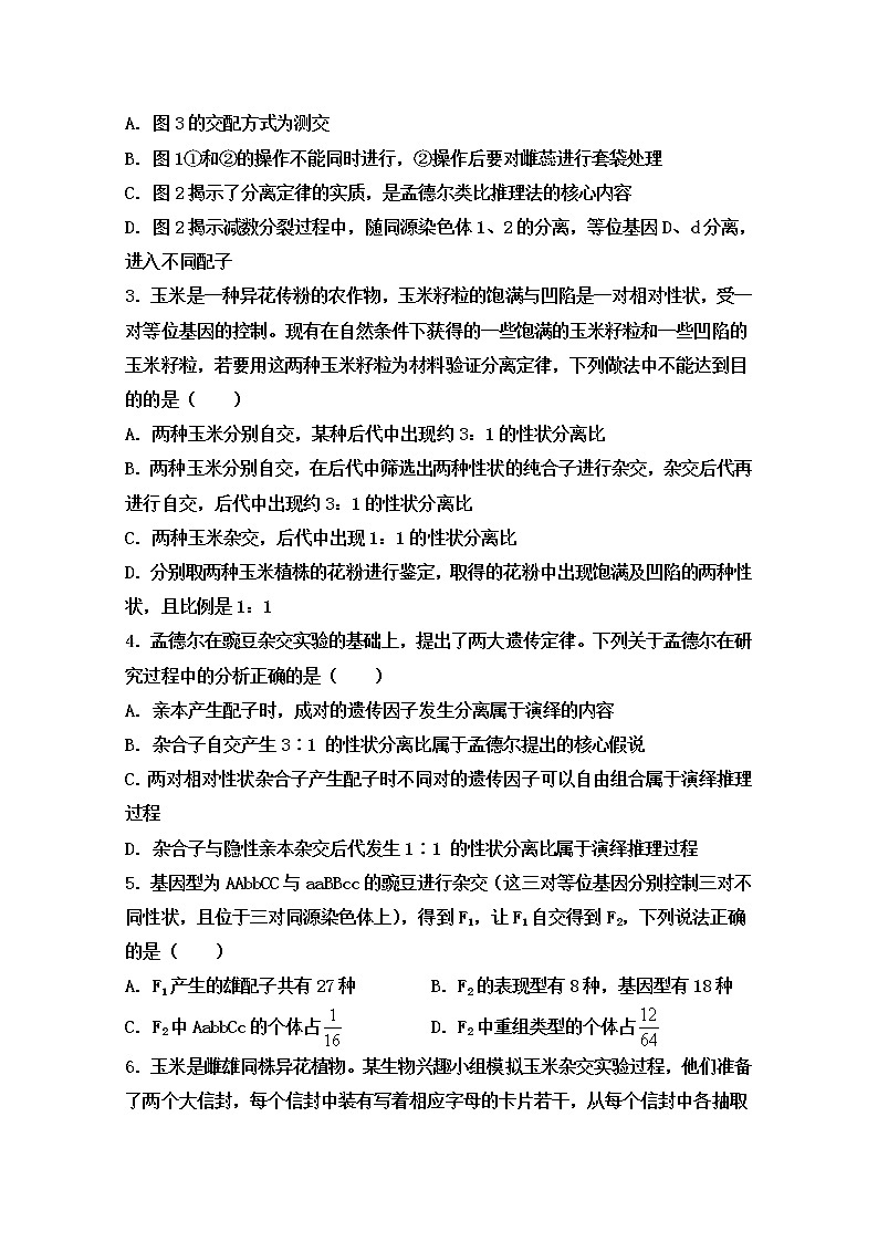 山东省泰安市2020-2021学年高一下学期期中考试生物试题（word版 含答案）02