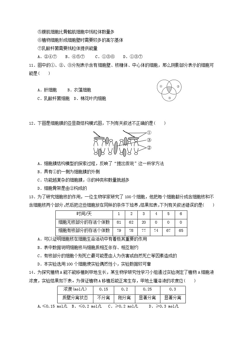 甘肃省玉门市2020-2021学年高一下学期期中考试生物试题03