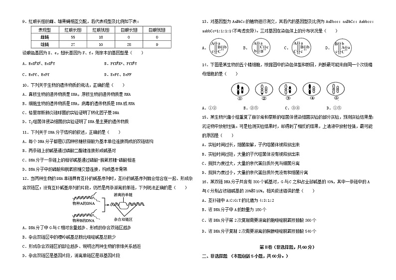 广东省东莞市2020-2021学年高一下学期七校联考生物试题（word版 含答案）02