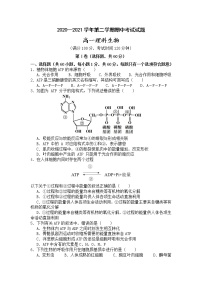 甘肃省金昌市2020-2021学年高一下学期期中考试生物（理）试题（word版 含答案）