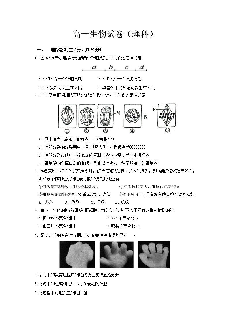 长春市2020-2021学年高一下学期期中考试生物（理）试卷（word版 含答案）01