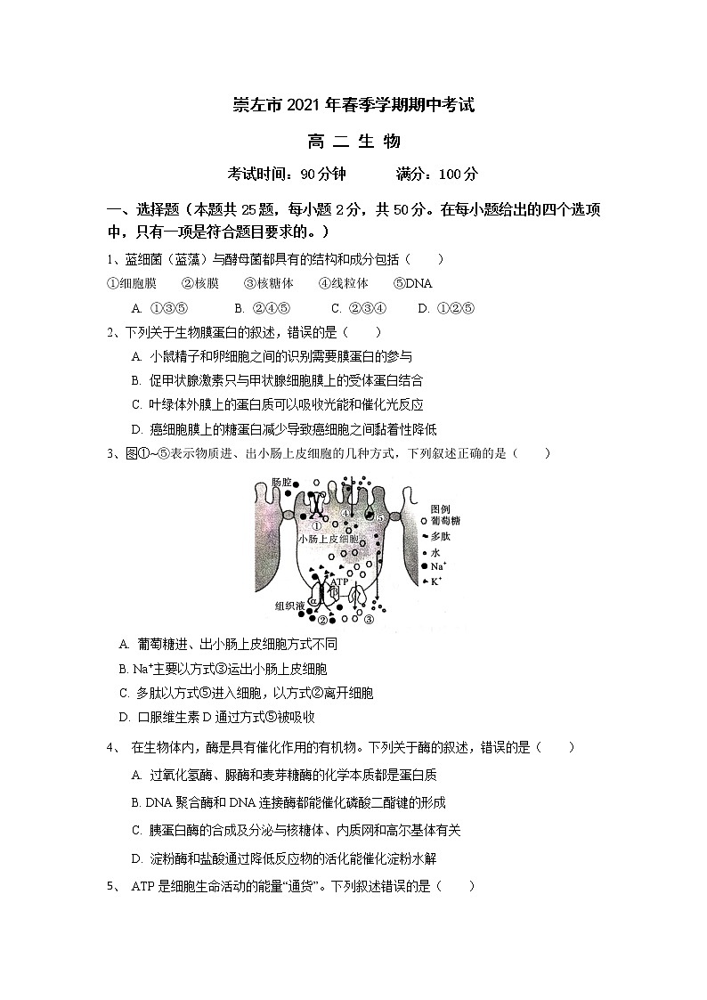 广西崇左市2020-2021学年高二下学期期中考试生物试题（word版 含答案）01