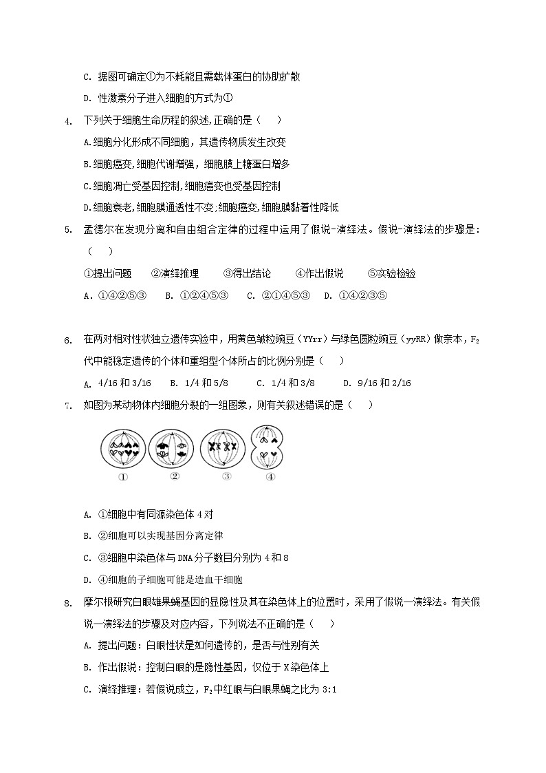 云南省水富县2020-2021学年高二下学期期中考试生物试题（word版 含答案）02