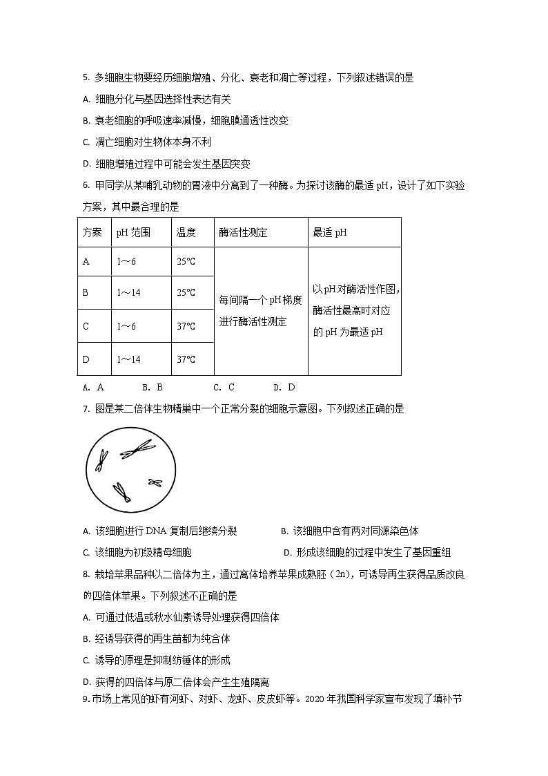 广东省茂名市电白区2020-2021学年高二下学期选择性期中测试生物试卷（word版 含答案）02