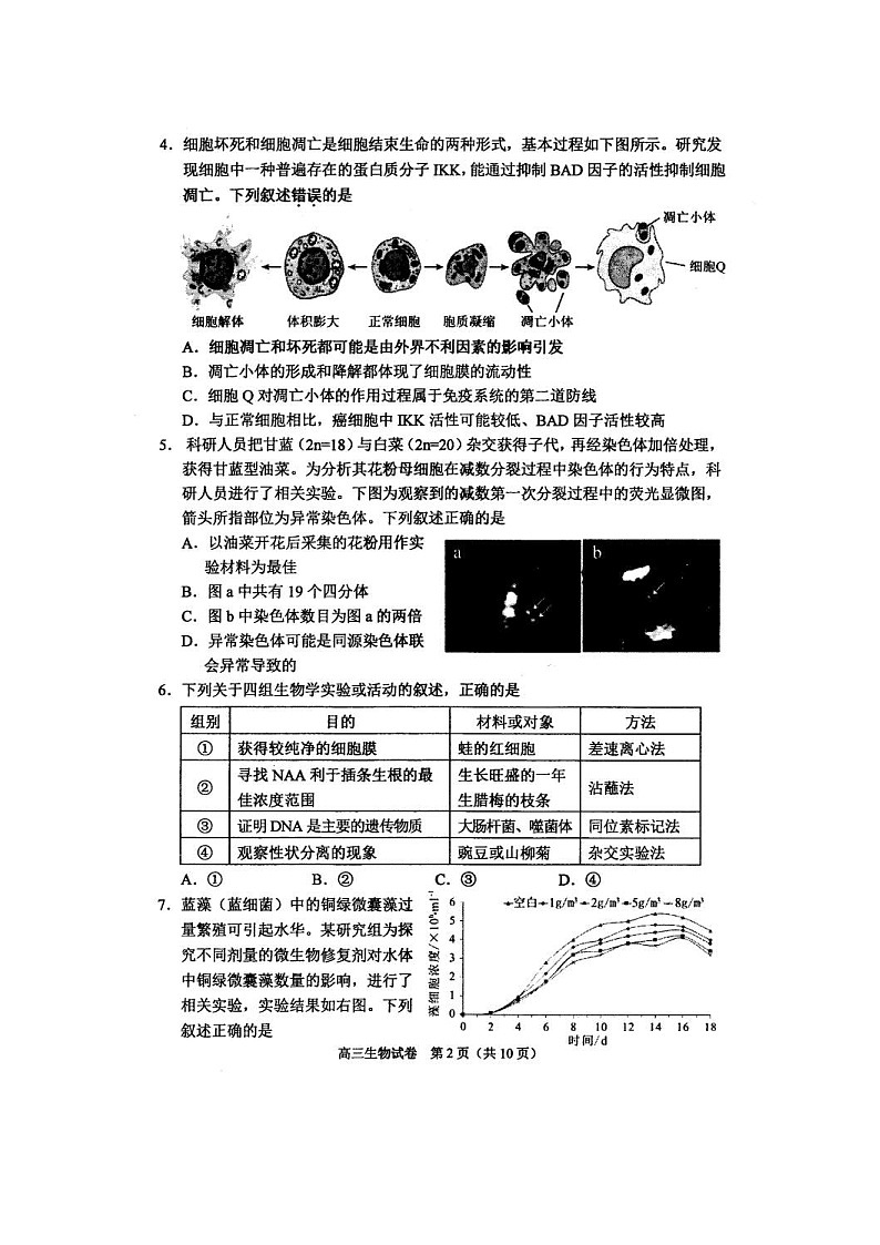 苏锡常镇四市2020~2021学年度高三教学情况调研（二）生物（含答案） 试卷02