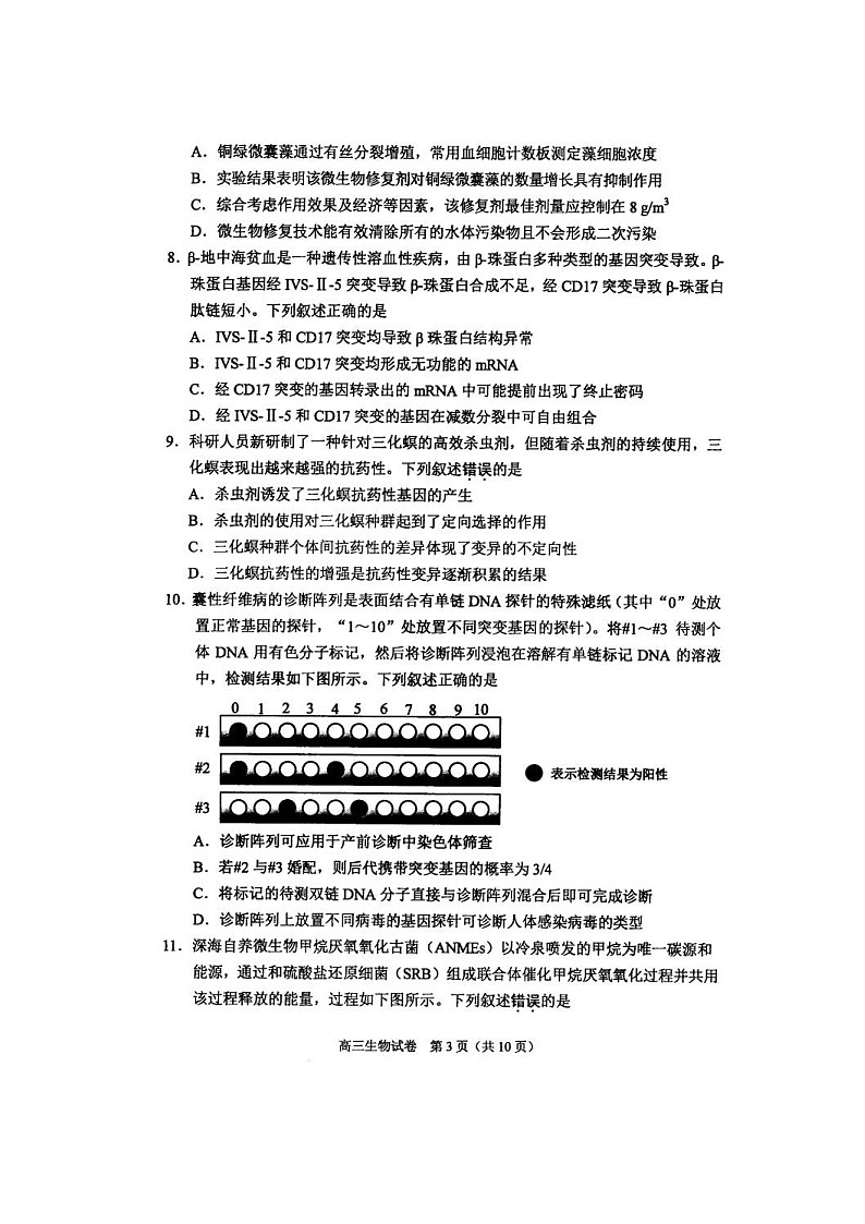 苏锡常镇四市2020~2021学年度高三教学情况调研（二）生物（含答案） 试卷03