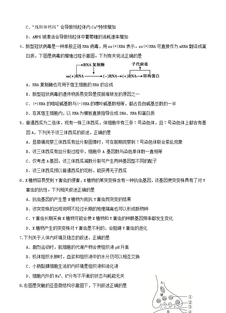 辽宁省沈阳市第二中学2021届高三下学期第四次模拟 生物（含答案）第2页