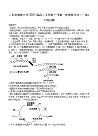 山东省实验中学2021届高三第一次模拟考试 生物（含答案）