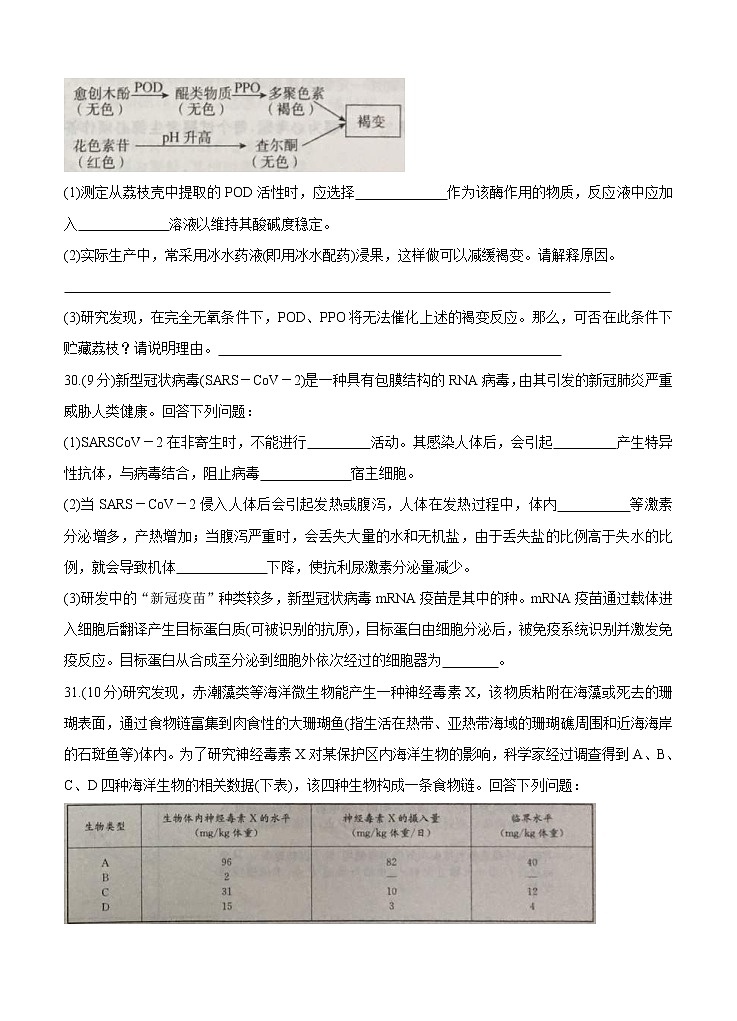 宁夏吴忠市2021届高三下学期4月高考模拟（第二次联考）生物（含答案） 试卷03
