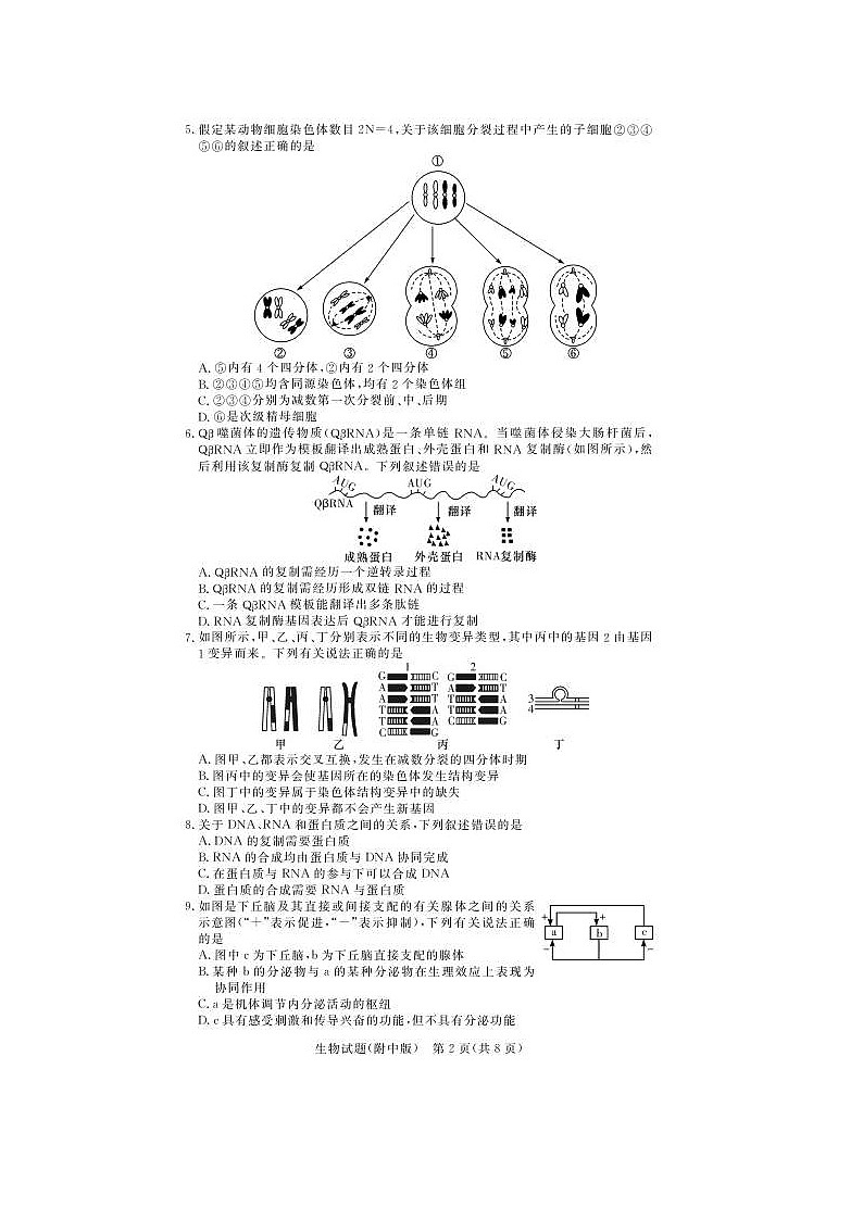 湖南师范大学附属中学2021届高三下学期高考模拟试卷（二）生物（含答案）02