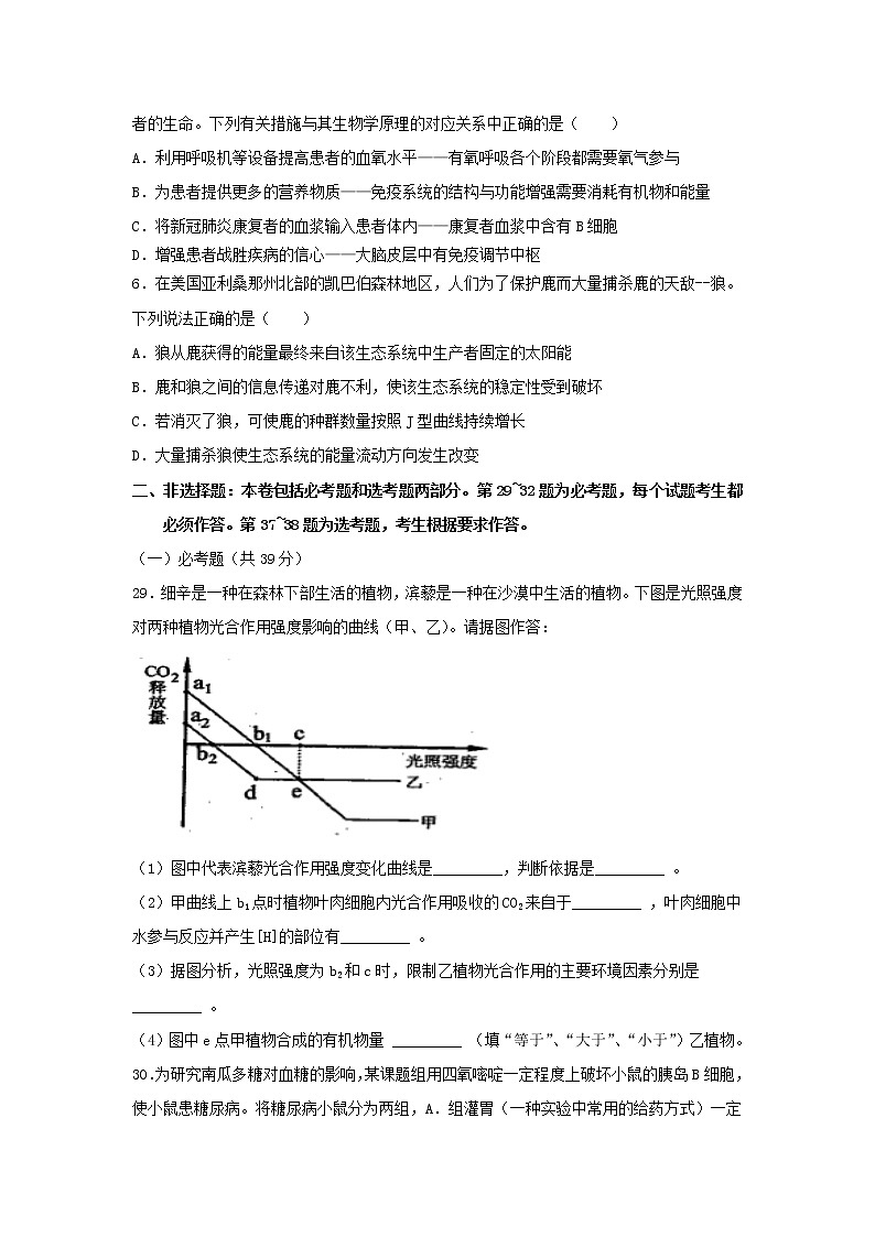 2021全国卷Ⅰ高考卷：生物+答案解析第2页