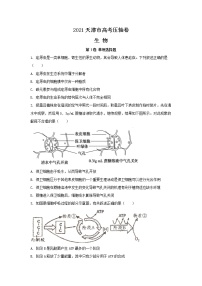 2021天津市高考压轴卷：生物+答案解析