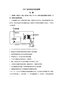 2021河北省高考压轴卷：生物+答案解析