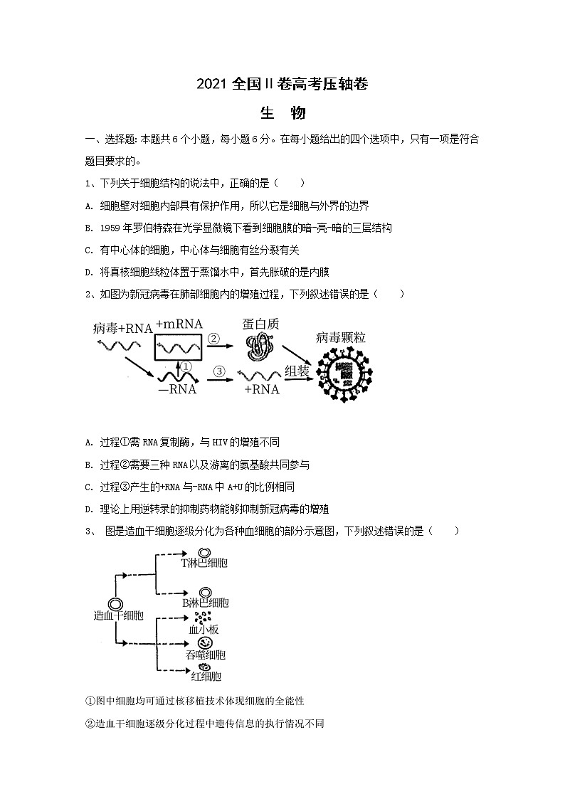 2021全国卷Ⅱ高考压轴卷：理综生物+答案解析01