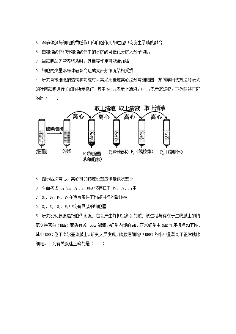 2021福建省高考压轴卷： 生物 +答案解析02