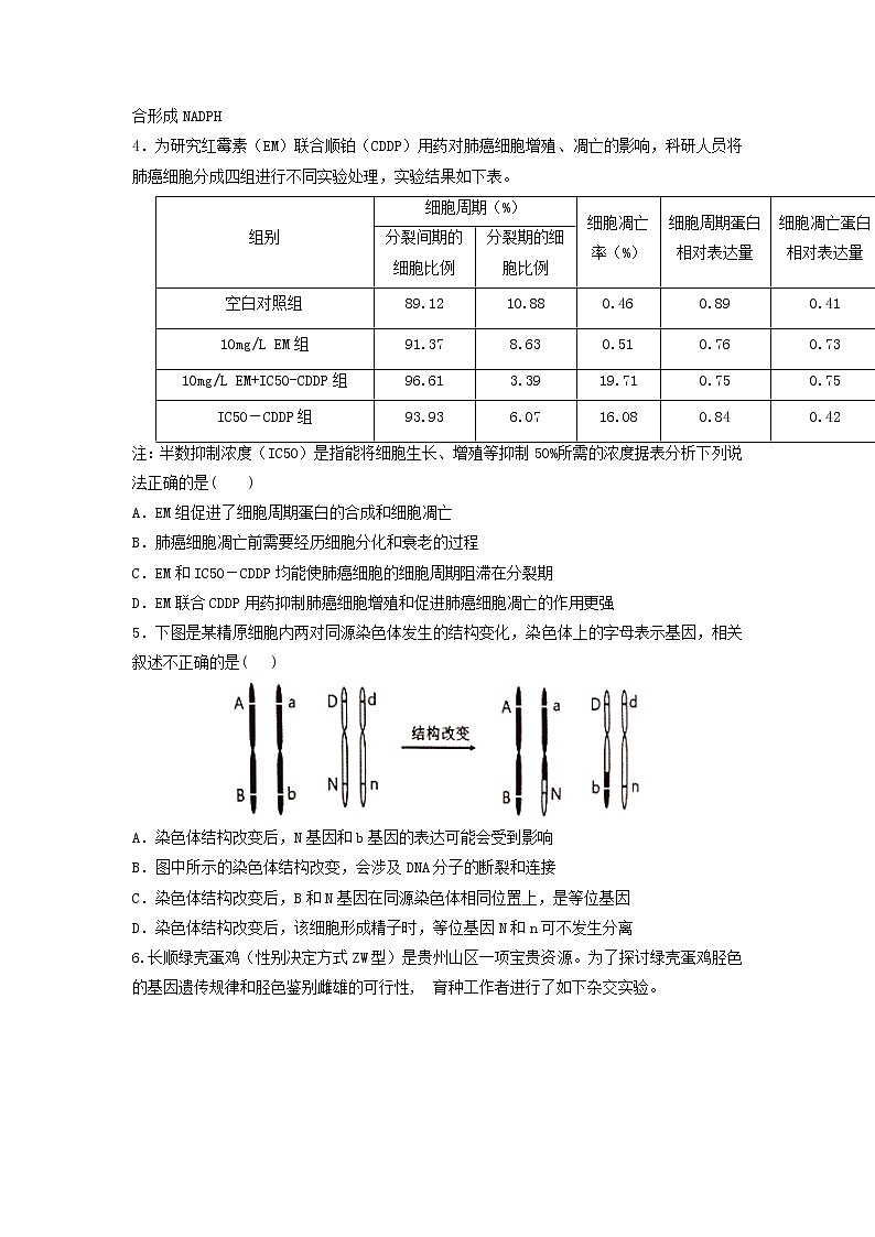 2021江苏省高考压轴卷：生物 +答案解析02
