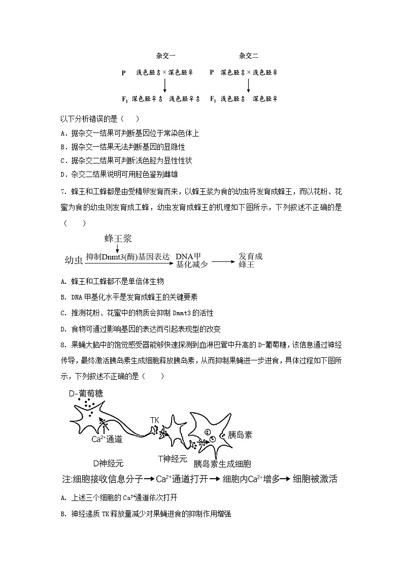 2021江苏省高考压轴卷：生物 +答案解析03