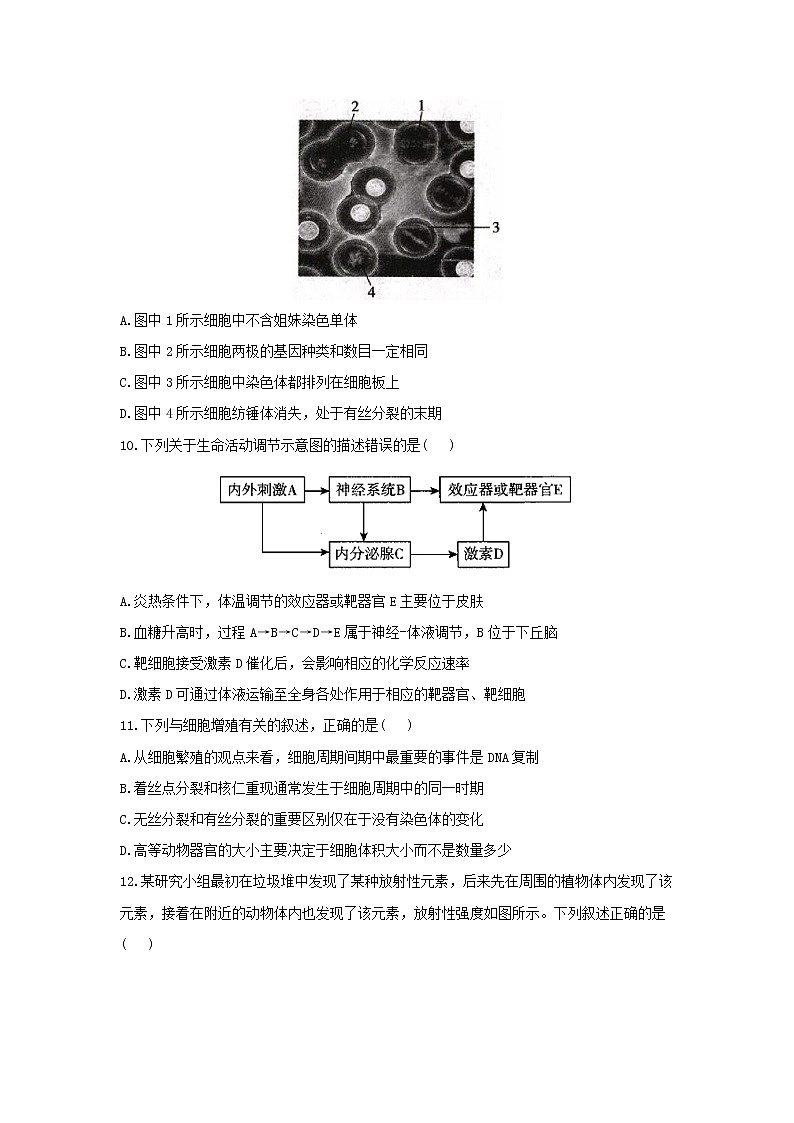 2021浙江省高考压轴卷：生物+答案解析03