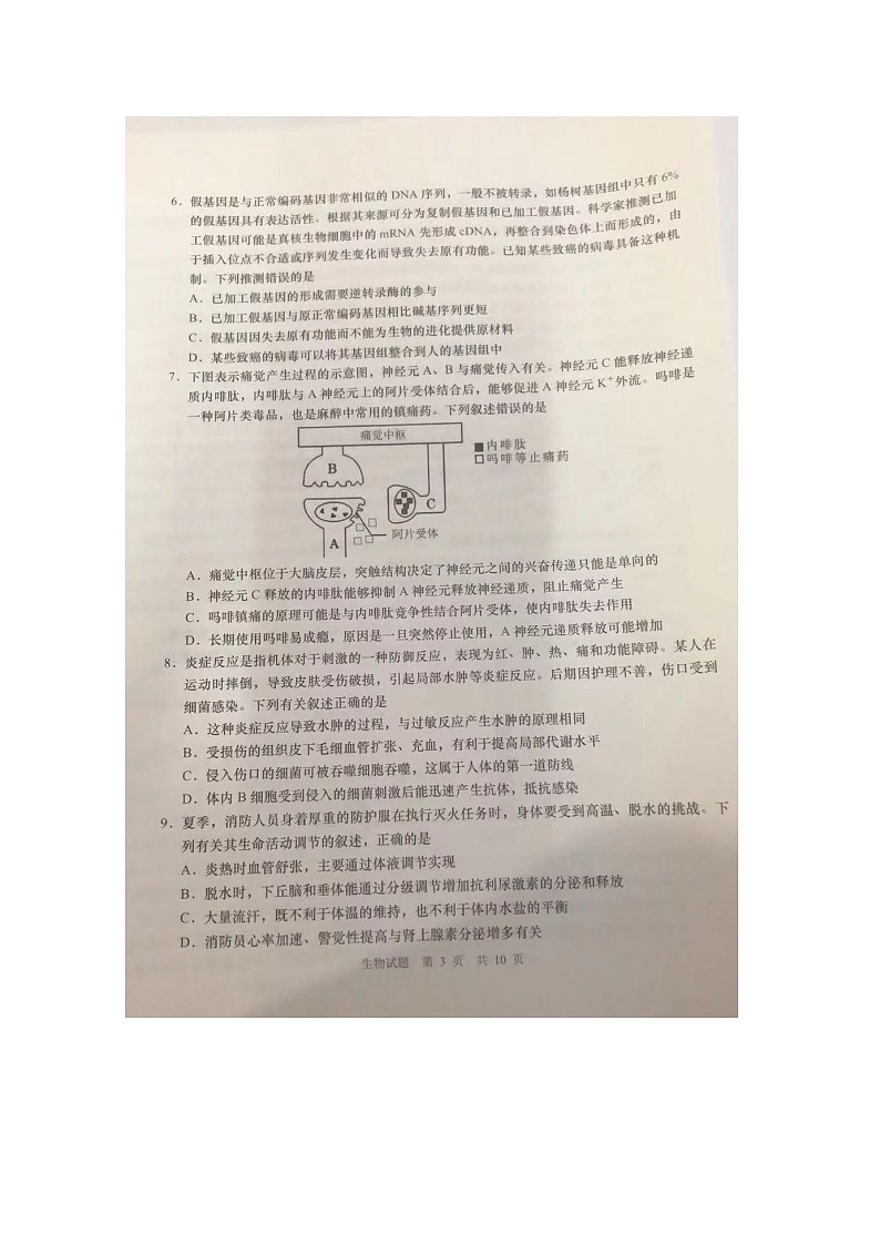 2021青岛市高三二模：生物试题+答案（5月）03