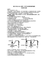 重庆市2021届高三下学期4月第二次学业质量调研抽测生物试题+答案