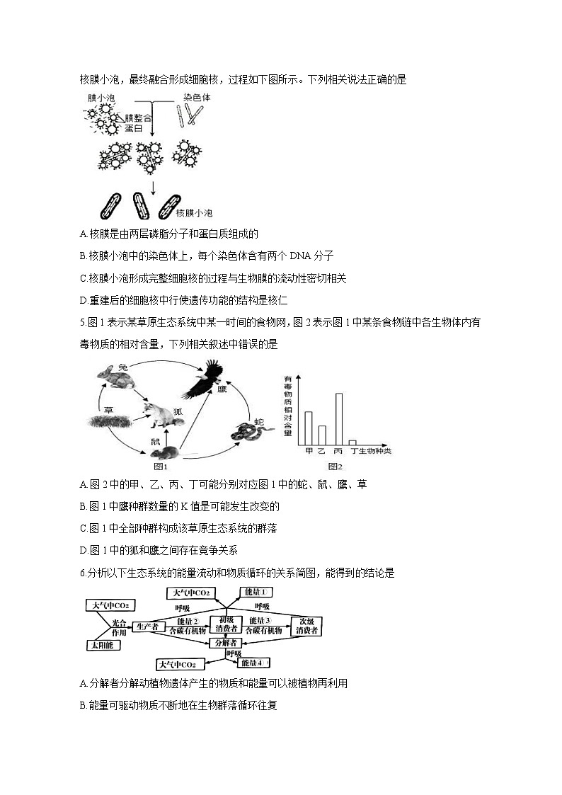 辽宁省丹东市2021届高三下学期5月总复习质量测试（二）（二模）：生物+答案第2页