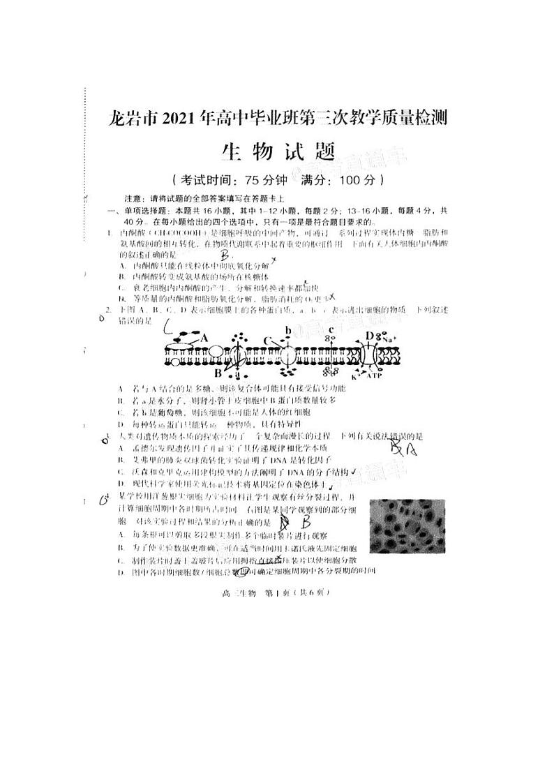 2021龙岩5月质检生物卷及答案（扫描版）01