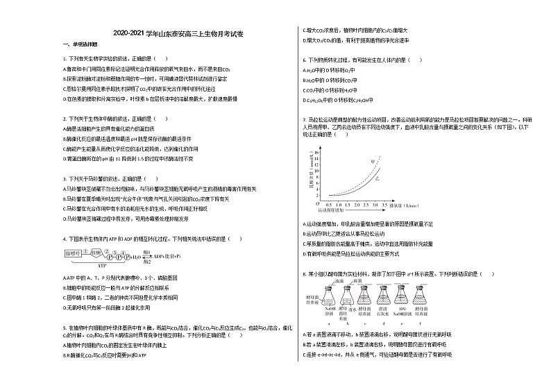 2020-2021学年山东泰安高三上生物月考试卷01