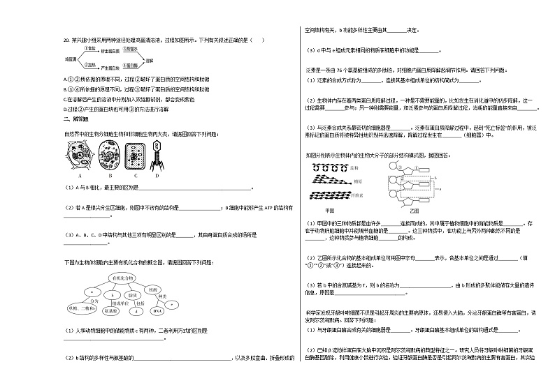 2020-2021学年广东肇庆高三上生物月考试卷03