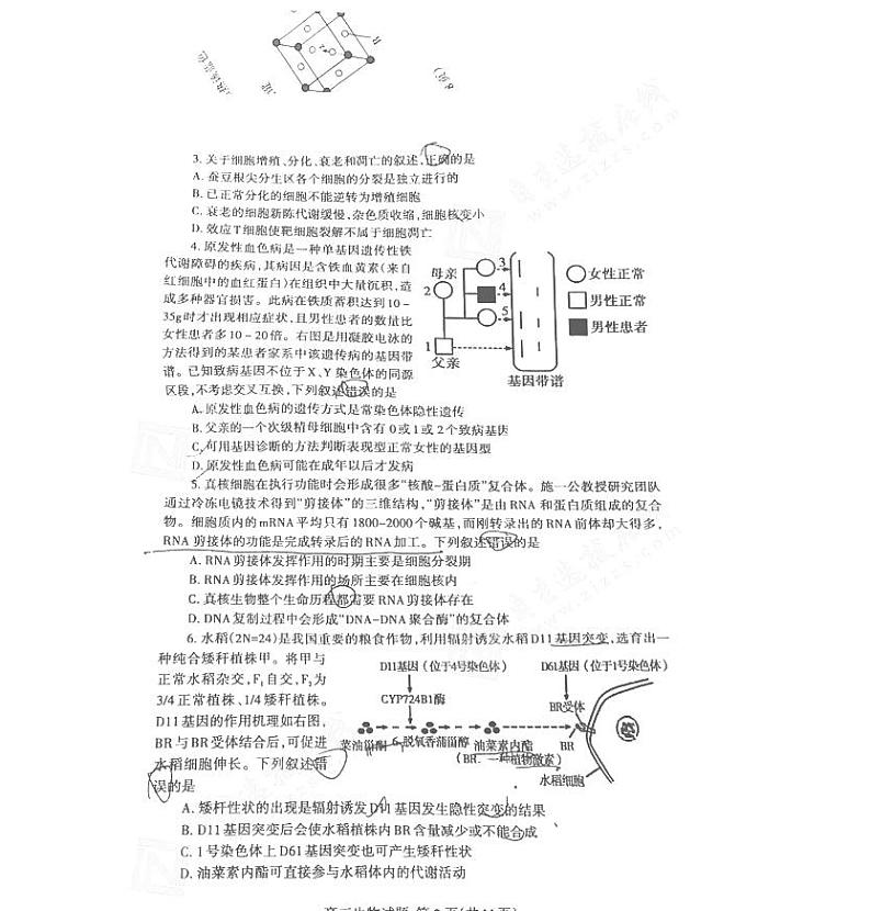 泰安二模生物第2页