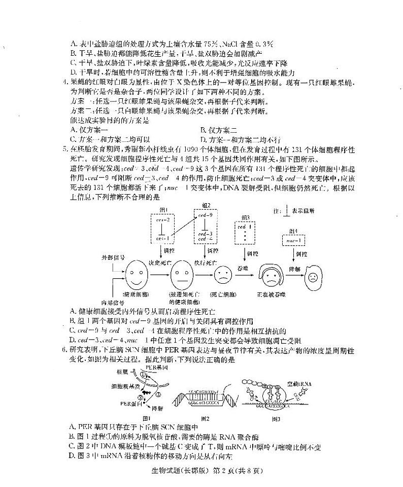 长郡中学2021届高三模拟试卷（一）生物+答案02