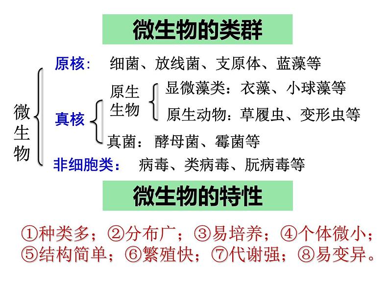 微生物的实验室培养课件第2页