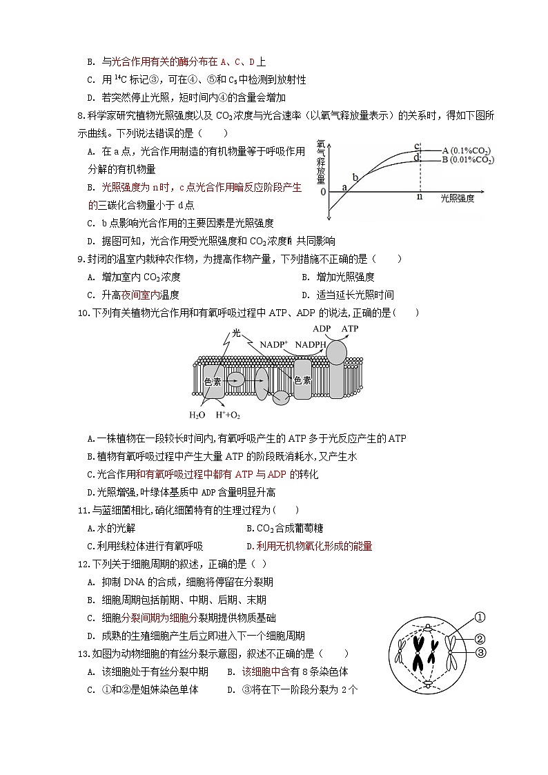 福建省莆田第七中学2020-2021学年高一下学期期中考试生物试题+答案02