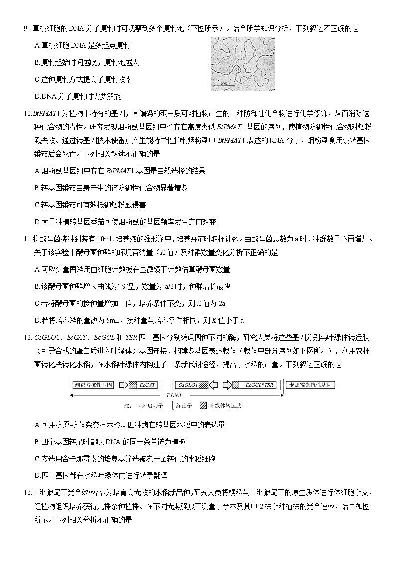 北京市海淀区2020-2021学年第二学期高三生物（二模）期末练习试题及答案03