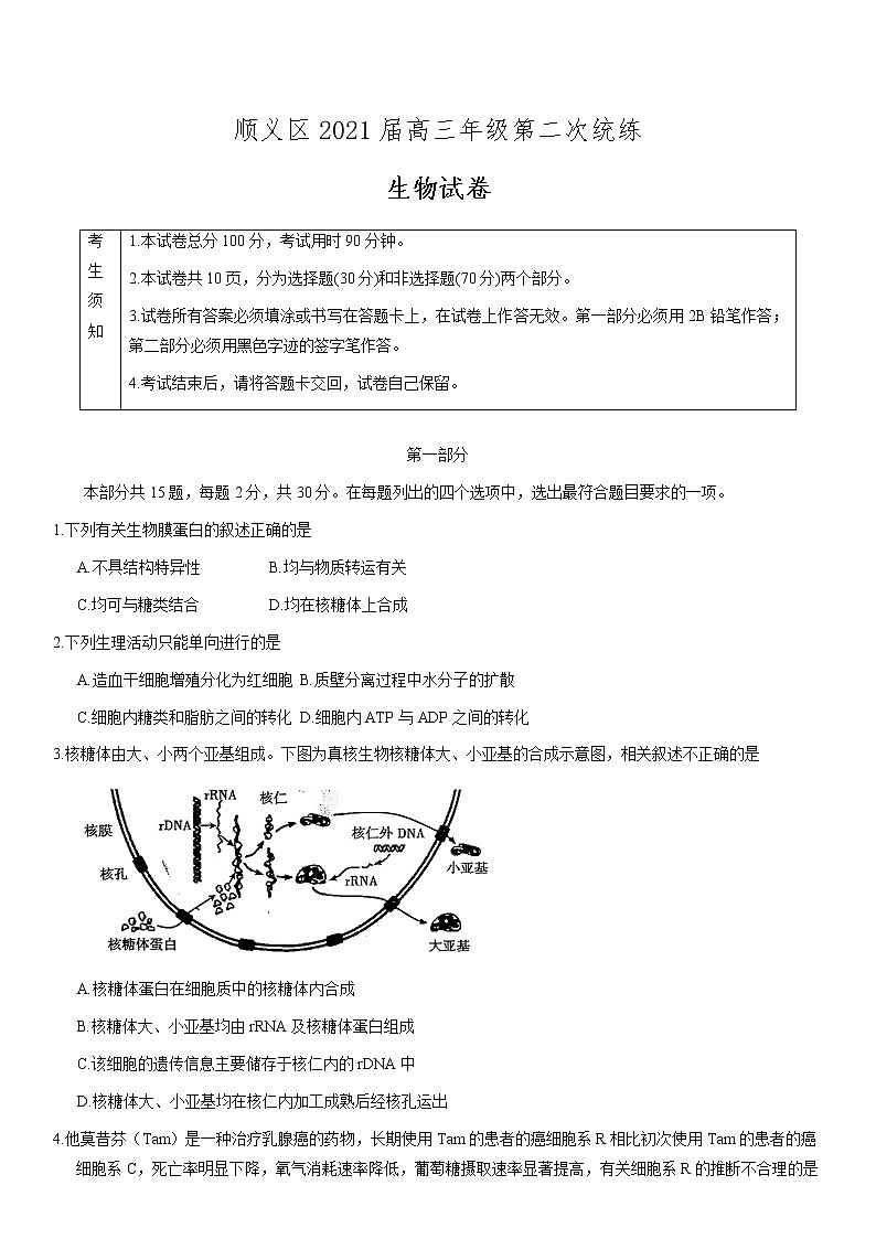 北京市顺义区2021届高三年级二模生物试题01