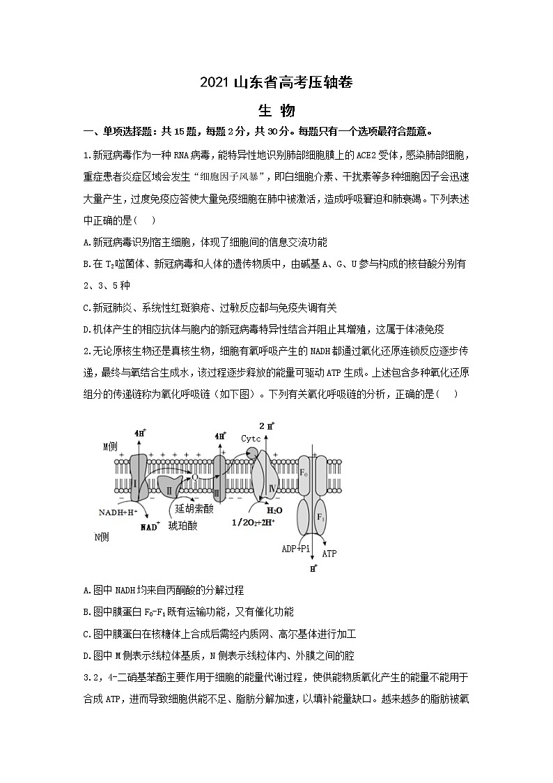 2021届山东省高考压轴卷之生物Word版含答案解析01