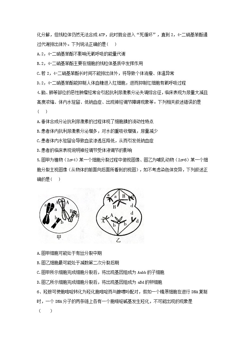 2021届山东省高考压轴卷之生物Word版含答案解析02