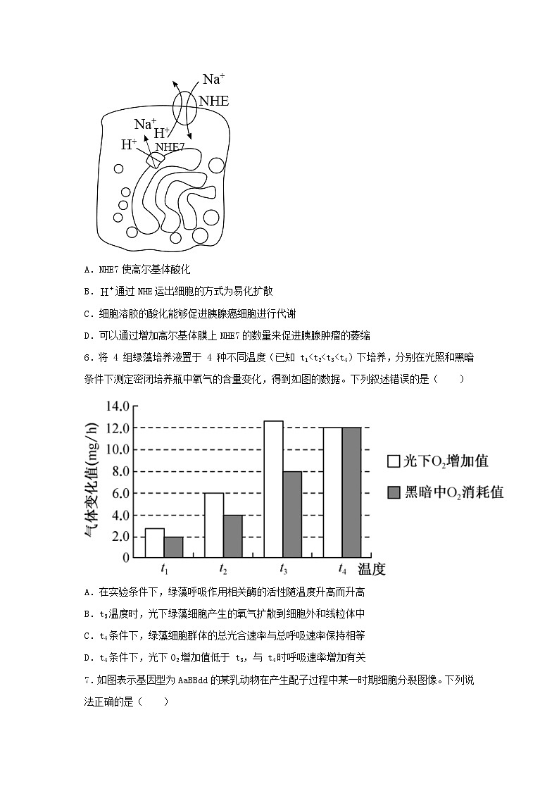 2021届福建省高考压轴卷之生物Word版含答案解析03