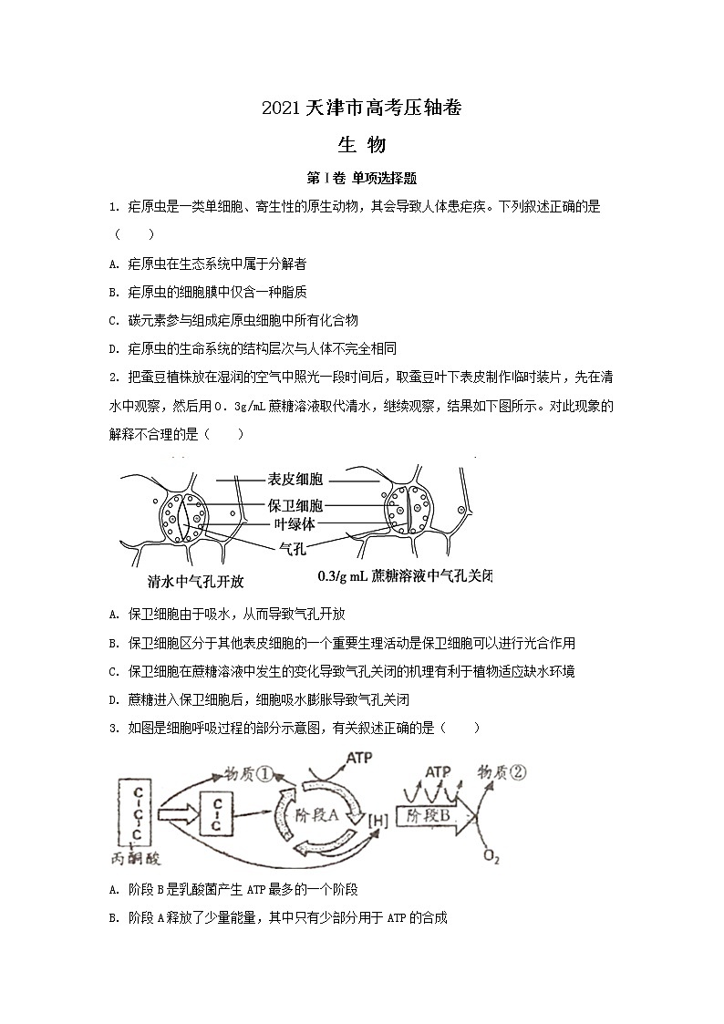 2021届天津市高考压轴卷之生物Word版含答案解析01