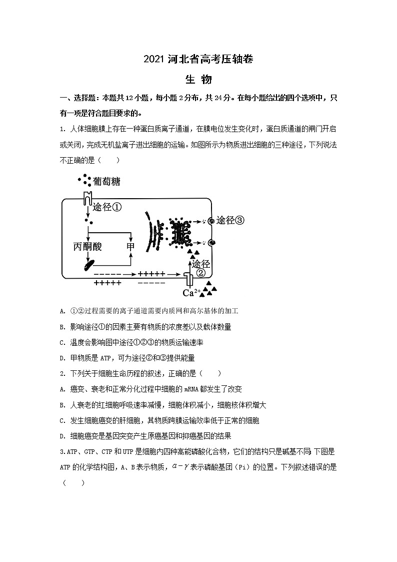 2021届河北省高考压轴卷之生物Word版含答案解析01