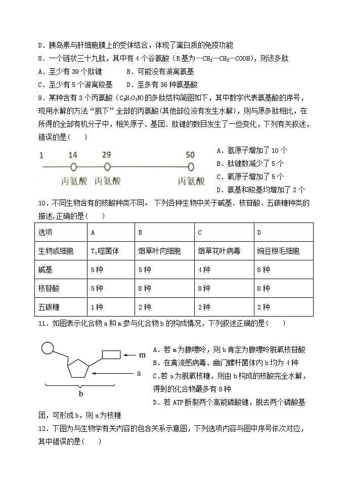 新课标人教版必修一生物高一上学期第四次月考第2页