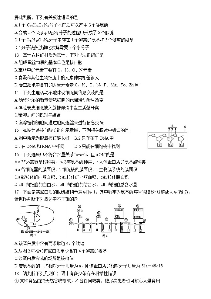 新课标人教版必修一生物高一上学期第三次月考第3页