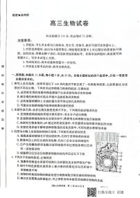2021届河北省沧州市高考二模：生物+答案(扫描版)