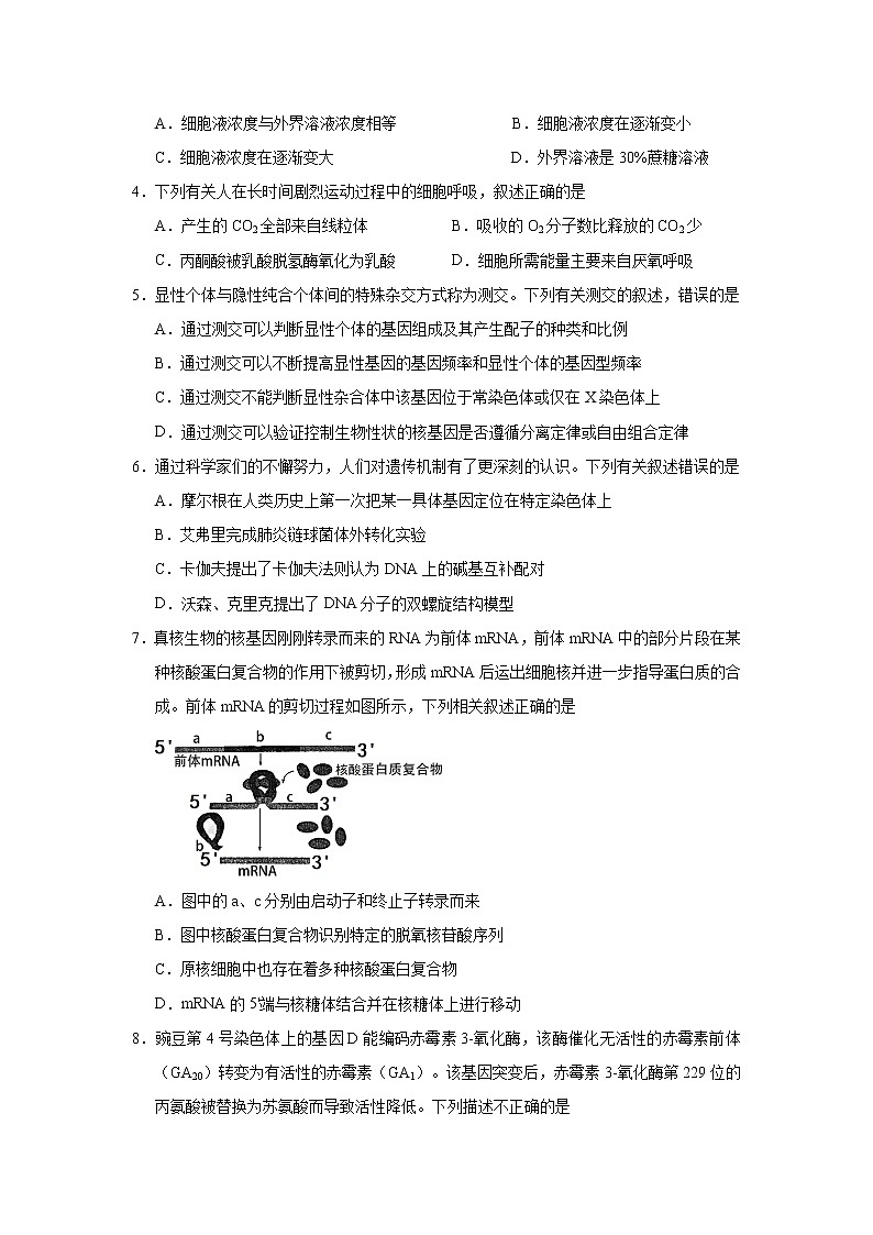 （新高考）2021届高考考前冲刺卷 生物（一）02