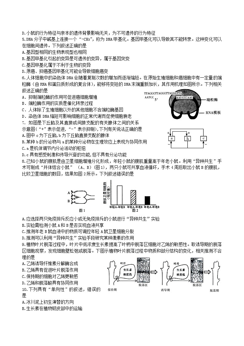 2021江苏省三校联考（姜堰中学、如东中学、沭阳如东中学）高三下学期5月联考卷：生物+答案02