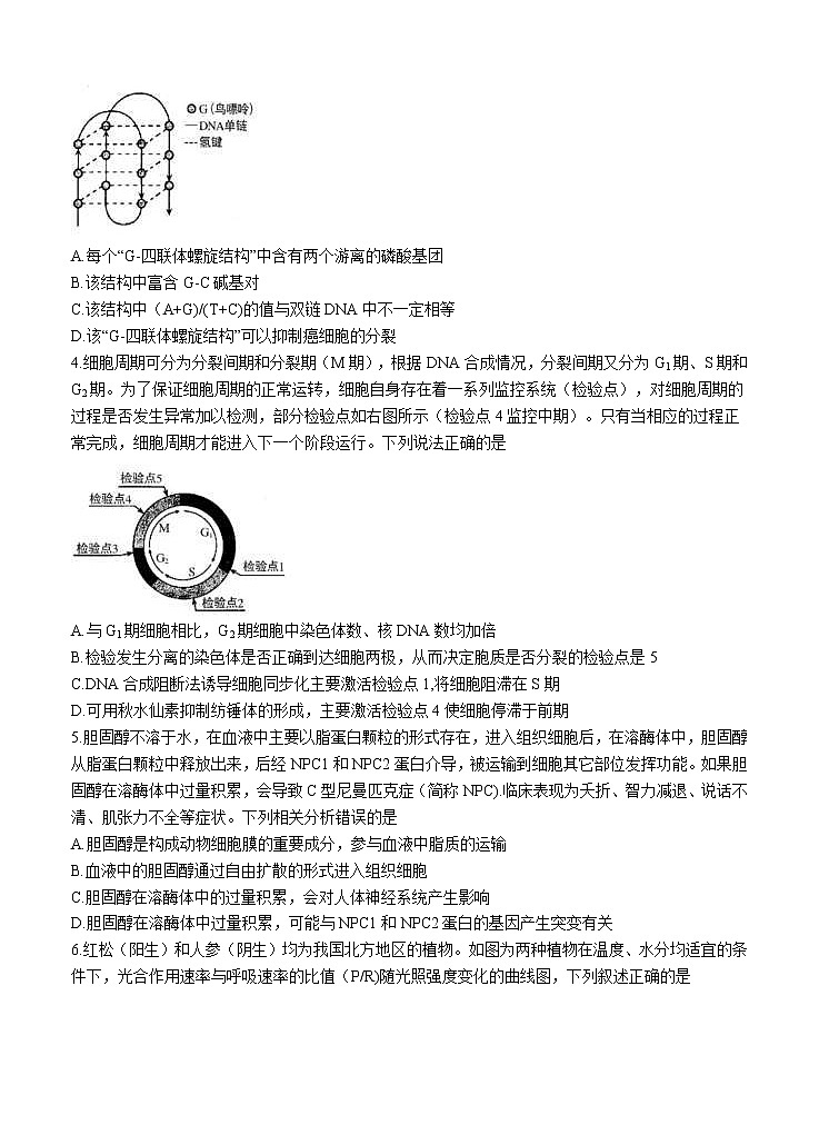 湖北省武汉市武昌区2021届高三下学期5月质量检测 生物（含答案）第2页