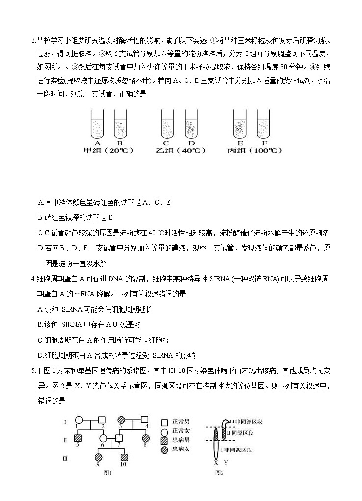 山东省泰安肥城市2021届高三下学期高考适应性训（一）生物（含答案） 试卷02