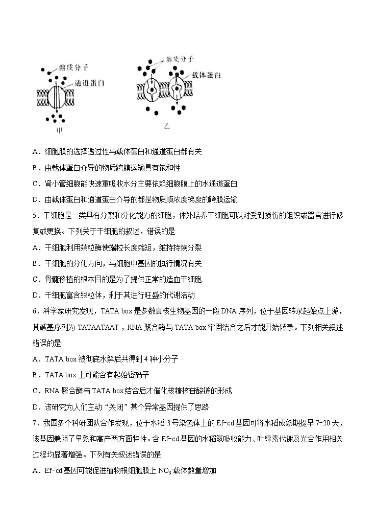 三省三校《辽宁省专考》2021届高三下学期4月高考第四次模拟 生物（含答案） 试卷02