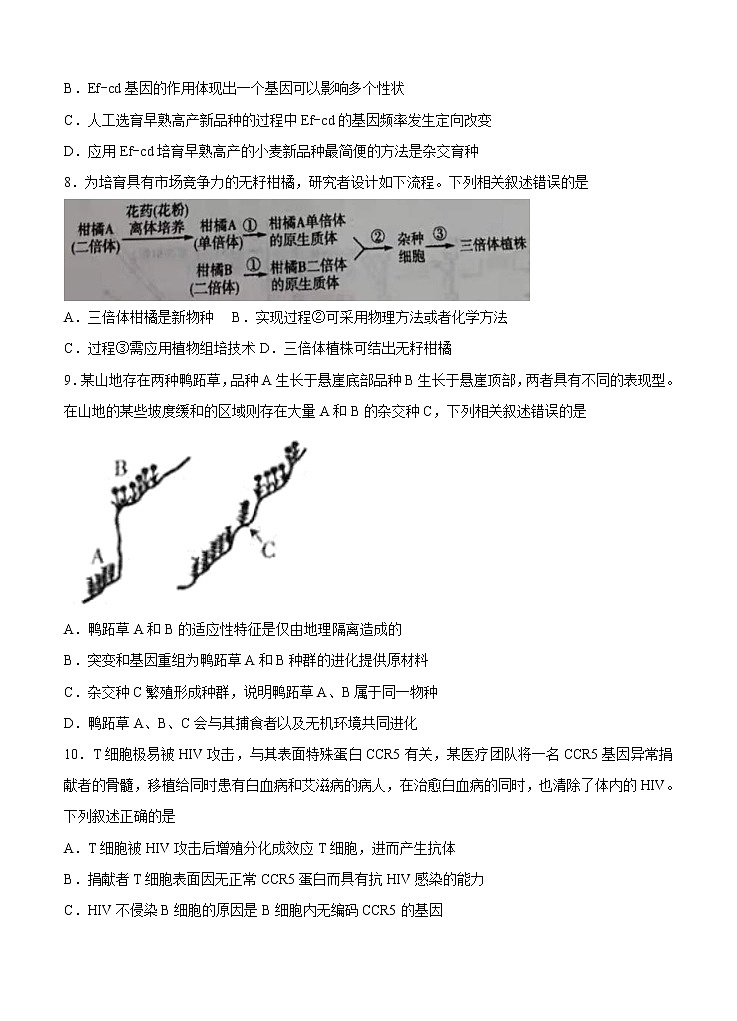 三省三校《辽宁省专考》2021届高三下学期4月高考第四次模拟 生物（含答案） 试卷03