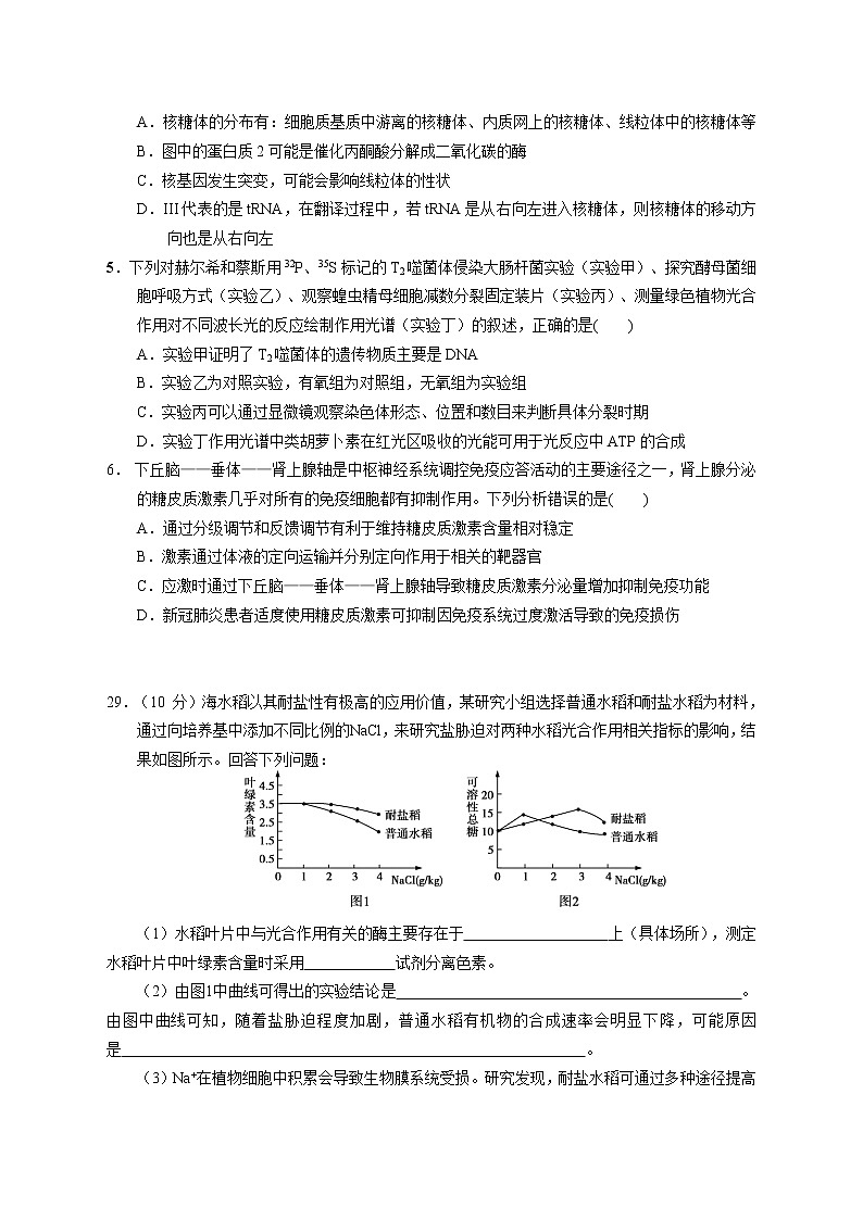 四川省叙永一中高2018级高考临诊卷 生物（含答案）第2页